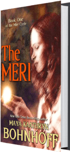 The Meri Book Cover